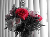 c2755 Flowers